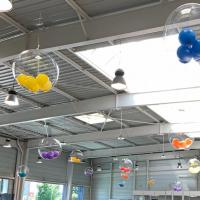 Ballons transparent - bulle