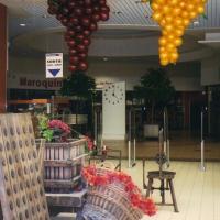 Grappes de raisins avec arche en ballons