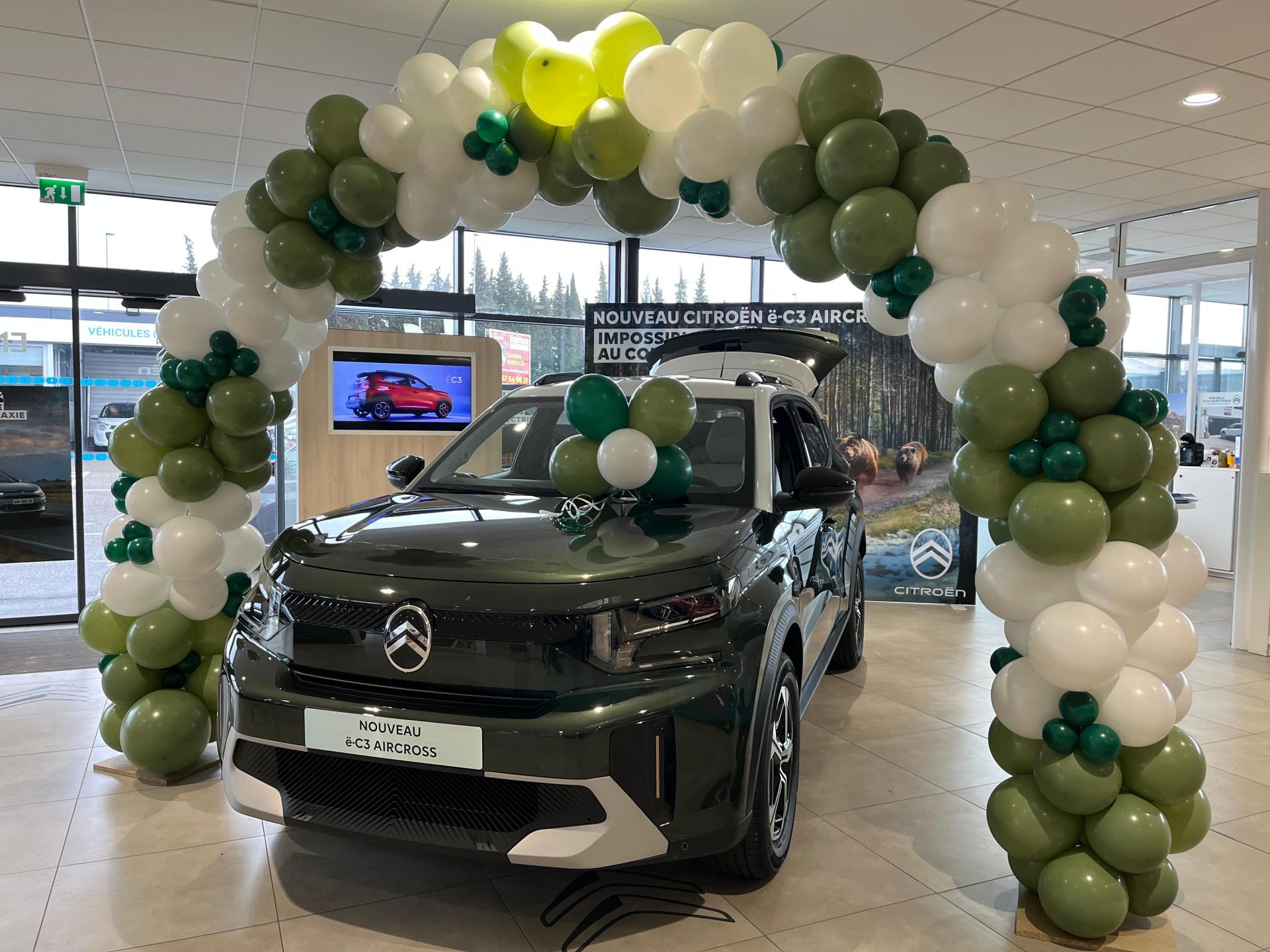 Ballons en arche pour Citroen Ales