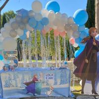 Arche organique de ballons Reine des Neiges