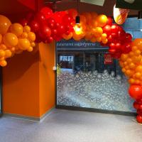 Arche organique ballons Avignon