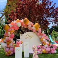Arche fleurs, ballons et végétaux
