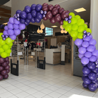 Arche organique pour Foire aux Vins