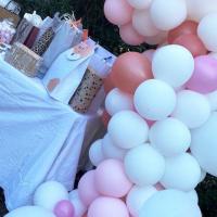 Organique Ballon Arche Baby Shower Fille