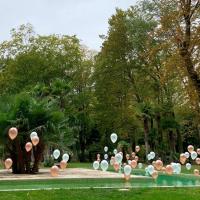 Hélium et ballons 30 cm