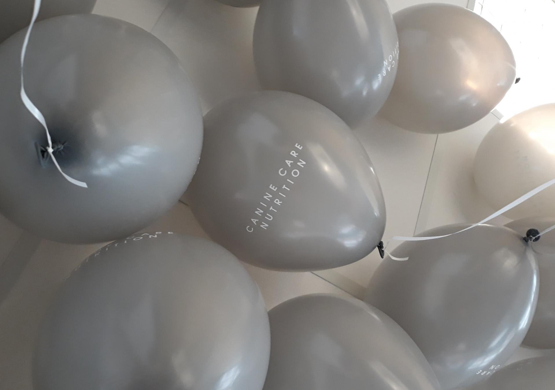 Ballons biodégradables personnalisés
