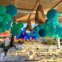 Déco organique table