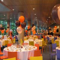 Décoration Salle pour Anniversaire