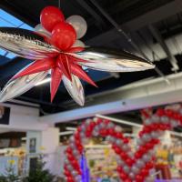 Déco Concept Ballon