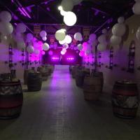 Soirée oenologique - ballon géant et lumière