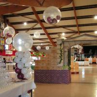 Dégustation de Vins et décors