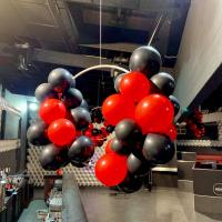 Cerceaux ballon organique