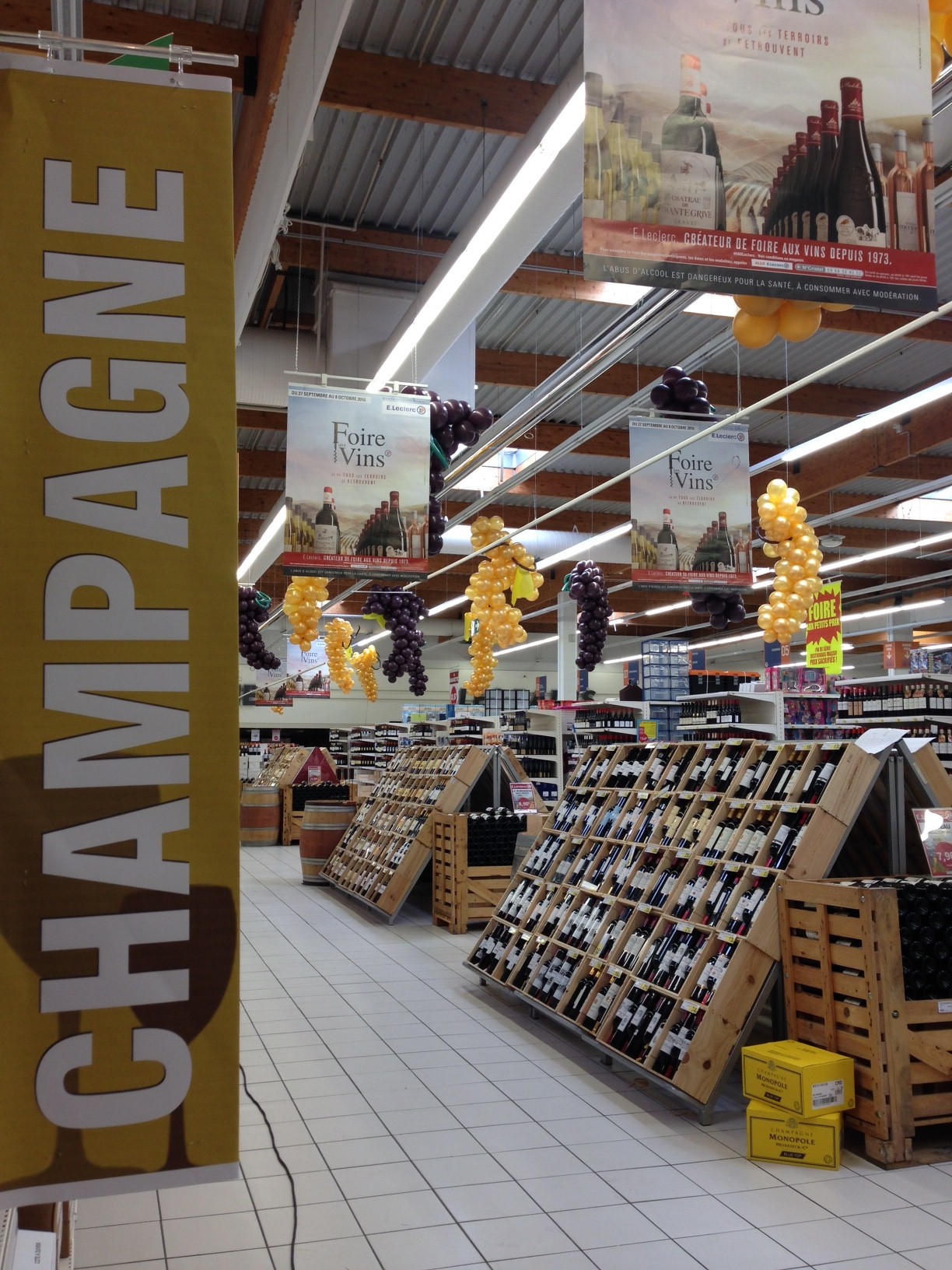 Grappe de raisin foire aux Vins automne