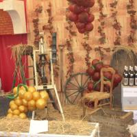 Foire aux vins