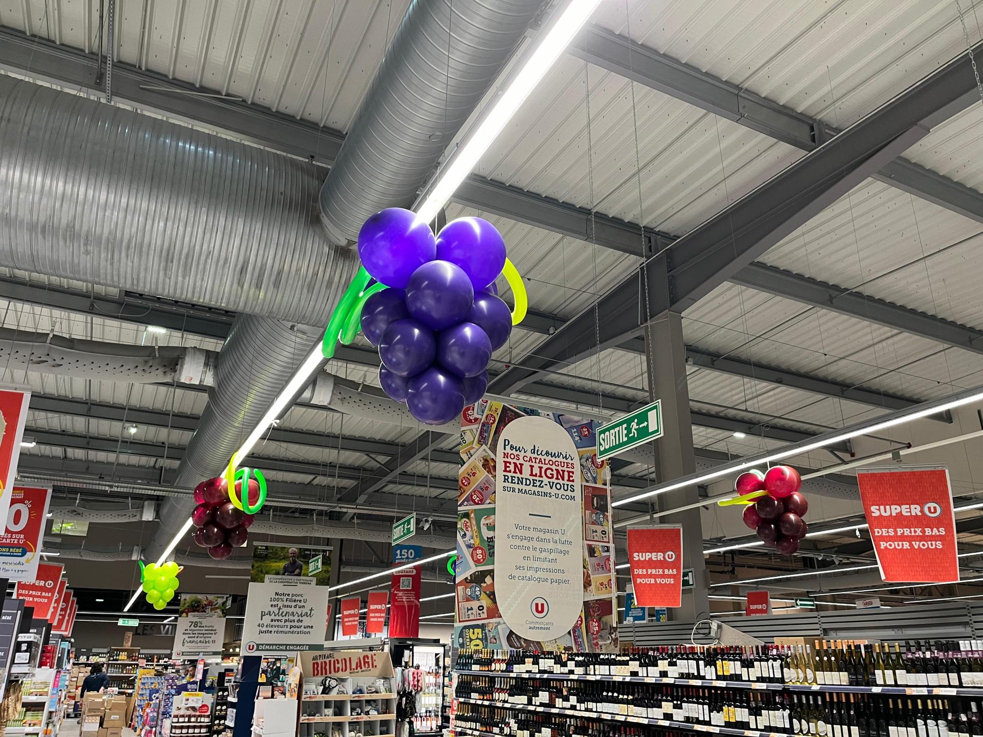 Grappe raisin Vigne Foire aux Vins