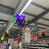 Grappe raisin Vigne Foire aux Vins