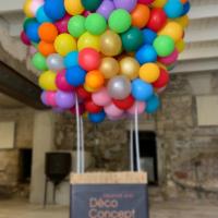 Montgolfière en ballon