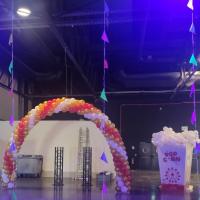 Arche ballon soirée Puy de Dômes